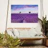 Perfecte lavendelrijen bij zonsopgang tuinposter los doek groot -sfeer7