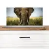 Olifant - Natuur - Gras - Dieren - Landschap Spatscherm Aluminium klein -3d_zonderpan