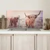 Schotse hooglanders - Licht - Lucht - Natuur Spatscherm Aluminium klein -sfeer2