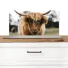 Schotse Hooglander -  Koe - Gras - Dieren - Natuur Spatscherm Aluminium klein -3d_zonderpan