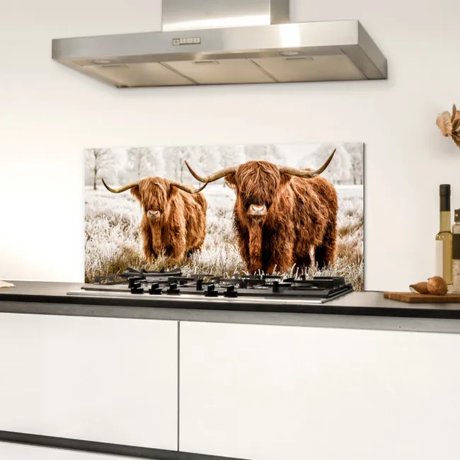 Schotse hooglander - Koe - Natuur - Winter Spatscherm Aluminium klein -sfeer4