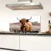 Schotse hooglander - Landschap - Koe - Bruin - Dieren - Natuur Spatscherm Aluminium klein -sfeer4