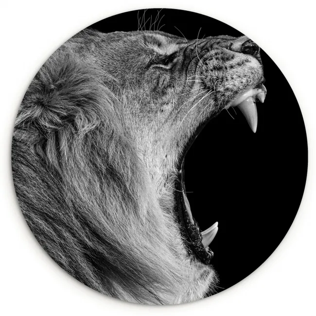 Dieren - Leeuw - Zwart - Wit - Portret Wandcirkel kunststof plaat 5mm dik klein -3d