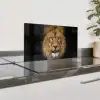 Leeuw - Portret - Zwart - Dieren Spatscherm Aluminium klein -zzproduct_nieuw