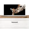 Giraffe - Dieren - Zwart - Portret - Dieren Spatscherm Aluminium klein -3d_zonderpan