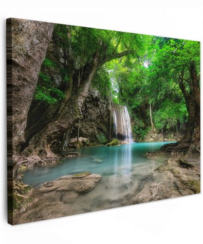 Jungle - Waterval - Planten - Water - Natuur