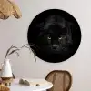 Panter - Dieren - Zwart - Ogen Wandcirkel kunststof plaat 5mm dik middel -sfeer4