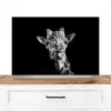 Giraffe - Dier - Zwart - Wit Spatscherm Aluminium middel -3d_zonderpan