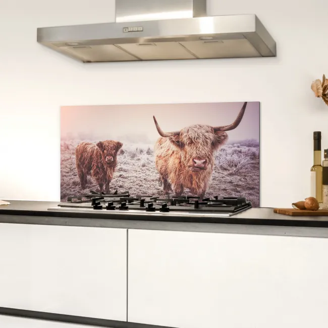 Schotse hooglanders - Licht - Lucht - Natuur Spatscherm Aluminium klein -sfeer4