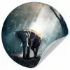 Olifant - Dieren - Licht - Bos - Natuur - Wilde dieren Wandcirkel behangsticker klein -3d
