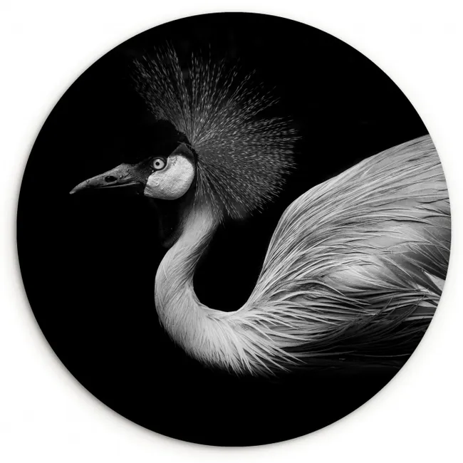 Kraanvogel - Zwart - Wit - Vogel - Dieren Wandcirkel kunststof plaat 5mm dik klein -3d