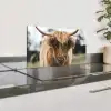 Schotse Hooglander -  Koe - Gras - Dieren - Natuur Spatscherm Aluminium klein -zzproduct_nieuw