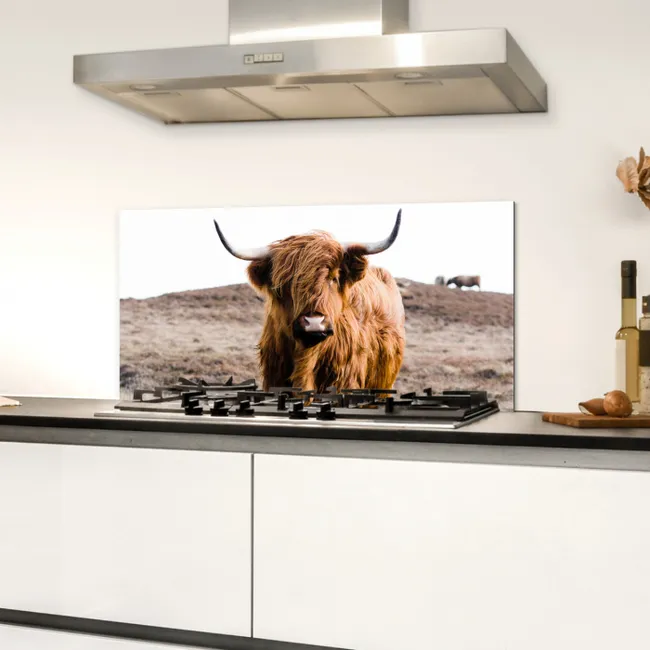 Schotse hooglander - Landschap - Koe - Bruin - Dieren - Natuur Spatscherm Aluminium klein -sfeer4