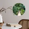 Jungle - Palmboom - Brug - Natuur - Planten Wandcirkel behangsticker klein -sfeer3