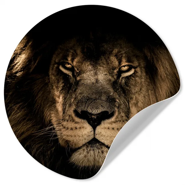 Leeuw - Dieren - Zwart - Portret Wandcirkel behangsticker middel -3d