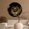 Leeuw - Dieren - Zwart - Portret Wandcirkel behangsticker middel -sfeer1