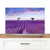 Lavendel - Natuur - Paars - Bomen - Bloemen Spatscherm Aluminium middel -3d_zonderpan