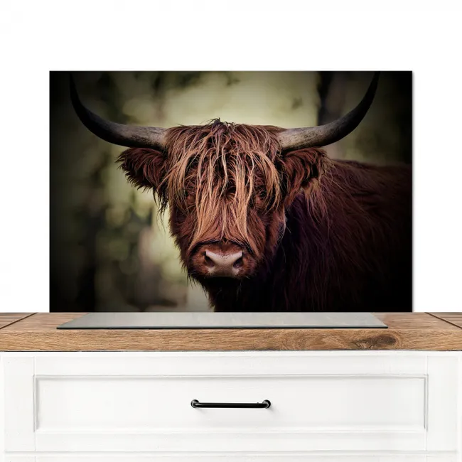 Schotse hooglander - Licht - Portret - Natuur Spatscherm Aluminium middel -3d_zonderpan