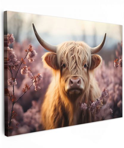 Schotse hooglander - Lente - Hooglanden