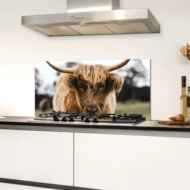 Schotse Hooglander -  Koe - Gras - Dieren - Natuur Spatscherm Aluminium klein -sfeer4