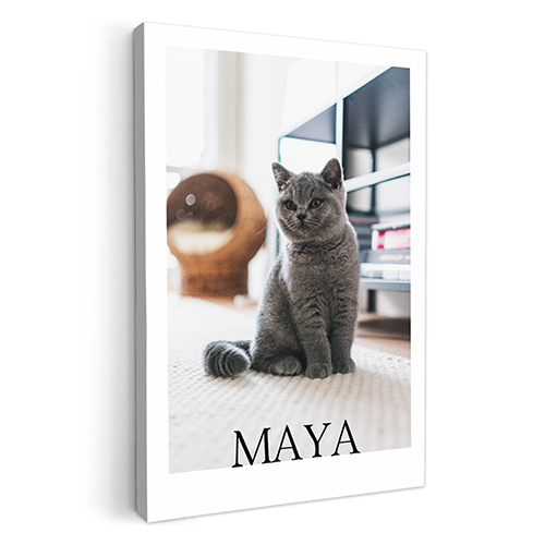 Canvas - Tijdschrift