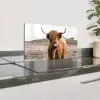 Schotse hooglander - Landschap - Koe - Bruin - Dieren - Natuur Spatscherm Aluminium klein -zzproduct_nieuw