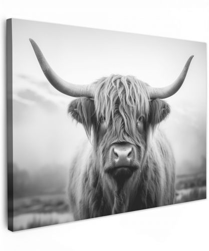 Schotse hooglander - Mist - Zwart - Wit