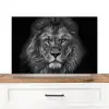 Leeuw - Dieren - Zwart - Wit Spatscherm Aluminium middel -3d_zonderpan