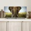 Olifant - Natuur - Gras - Dieren - Landschap Spatscherm Aluminium klein -sfeer2