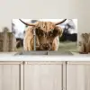 Schotse Hooglander -  Koe - Gras - Dieren - Natuur Spatscherm Aluminium klein -sfeer2