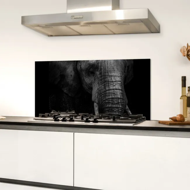 Olifant - Dier - Portret Spatscherm Aluminium klein -sfeer4