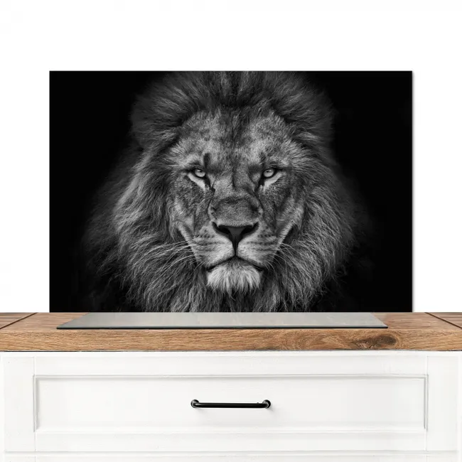 Leeuw - Dieren - Zwart - Wit Spatscherm Aluminium middel -3d_zonderpan