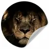 Leeuw - Dieren - Zwart - Portret Wandcirkel behangsticker middel -3d