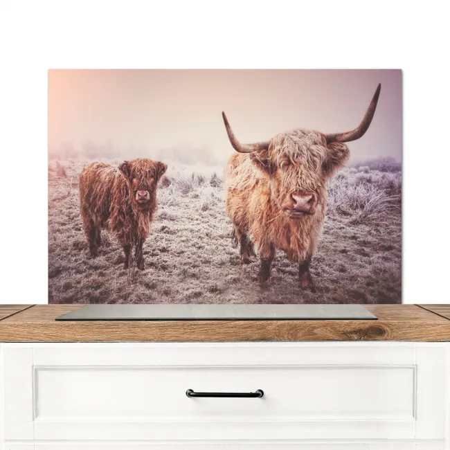 Schotse Hooglanders - Sneeuw - Zon Spatscherm Aluminium middel -3d_zonderpan