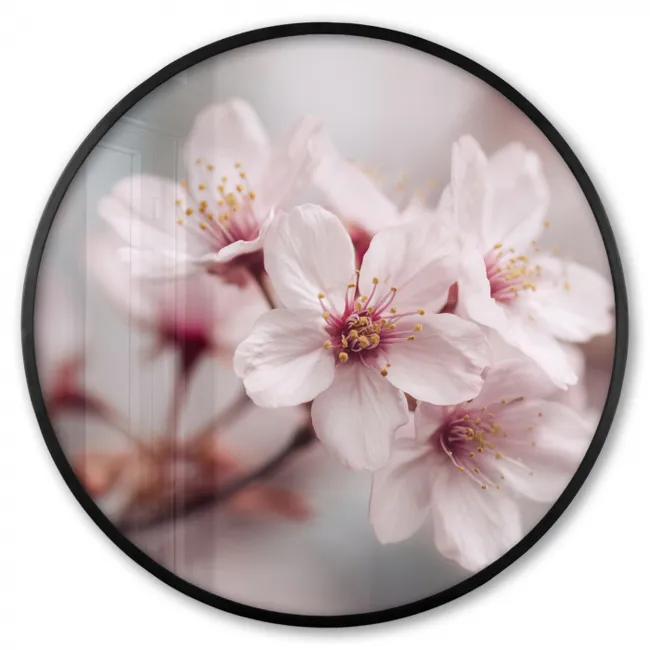 Fotolijst rond zonder passe partout - Bloesems - Meeldraden - Geel - Wazig