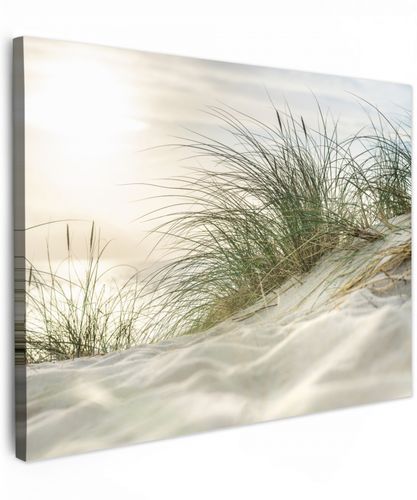 Duinen met helmgras onder de zon van het Duitse nationaal Park Schleswig-Holsteinisches Wattenmeer