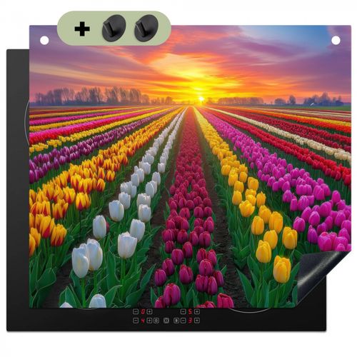 Tulpenveld - Zonsondergang - Kleurrijk