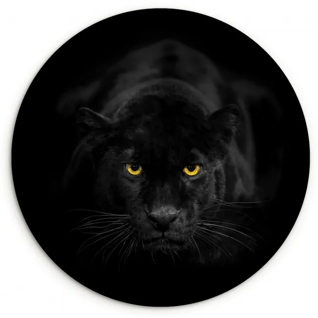 Panter - Dieren - Zwart - Ogen Wandcirkel kunststof plaat 5mm dik middel -3d