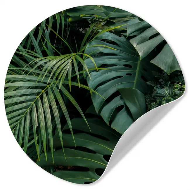Planten - Jungle - Bladeren - Tropisch Wandcirkel behangsticker middel -3d