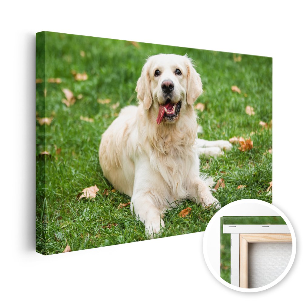 Foto op canvas Al vanaf € 2,95! |