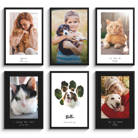 Overzicht van de honden en katten templates op poster