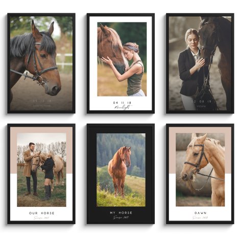 Overzicht van de paarden poster templates