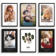 Overzicht van de honden en katten templates op poster thumbnail