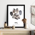 Kattenfoto in de vorm van een kattenpoot op poster in lijst thumbnail