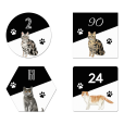 4 voorbeelden naambordje voordeur katten thumbnail