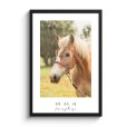 Foto van een paard op poster met zwarte lijst thumbnail