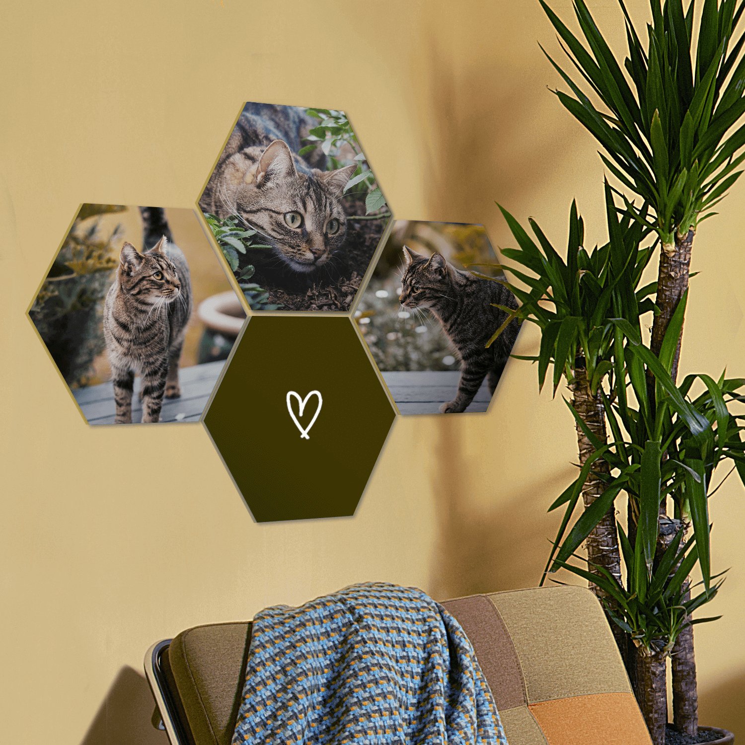Hexagons
