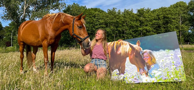 Canvas met paard en amazone