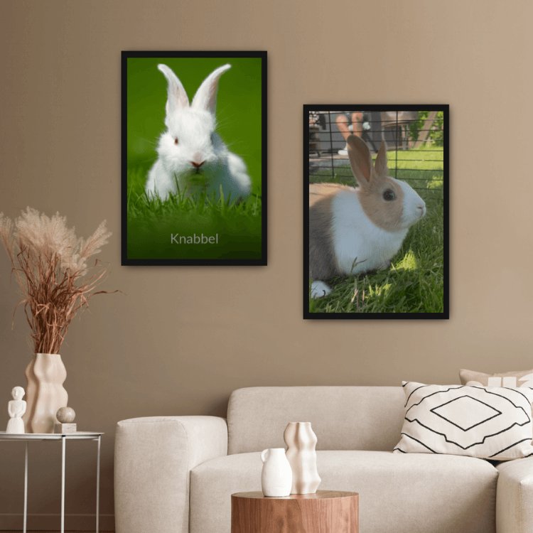 Dierenpootje