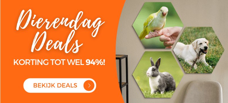 Dierendag deals